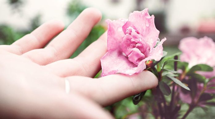 7 Soaps to Supercharge Your Daily Skincare Routine