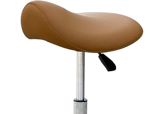 Professional Saddle Stool Review: Is It the Perfect Ergonomic Solution for Your Workspace?
