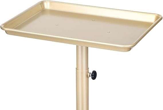 Champagne Gold Salon Tray Review: Is This Adjustable, Mobile Cart Worth the Investment?