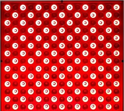 LED Red Light Therapy Device Review: Is It Worth the Investment for Skin and Pain Relief?