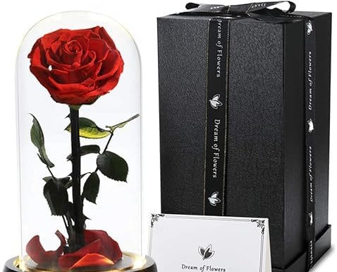 Beauty and The Beast Rose Review: A Timeless Valentine’s Gift Worth the Investment?