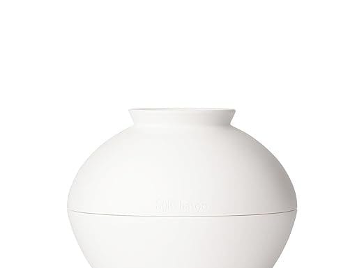 Sulwhasoo Ultimate S Cream Review: Is This Anti-Aging Miracle Worth the Price?