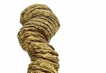 Belson 9477 Soft Bonnet Attachment Review: Is It Worth the Upgrade?