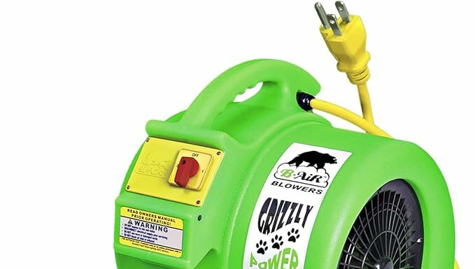 B-Air Grizzly Dryer Review: Is This Airmover Worth The Hype?