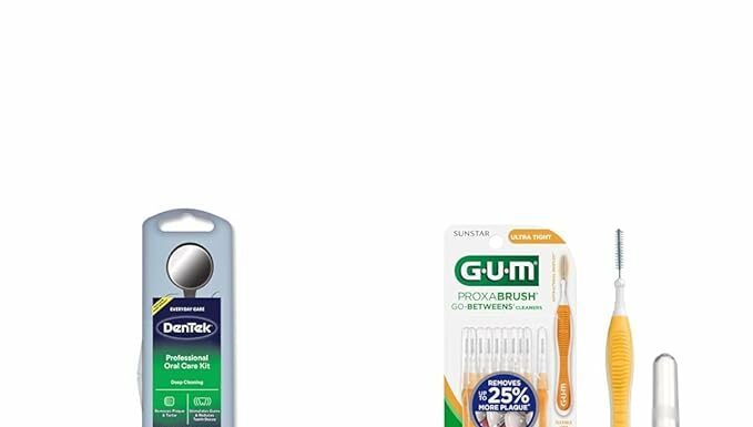 DenTek Oral Care Kit Review: Can These Interdental Brushes Really Remove Plaque?